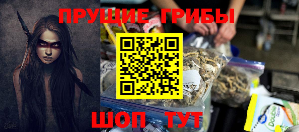 Кисловодск  Псилоцибиновые грибы Magic Shrooms  Вход с VPN 