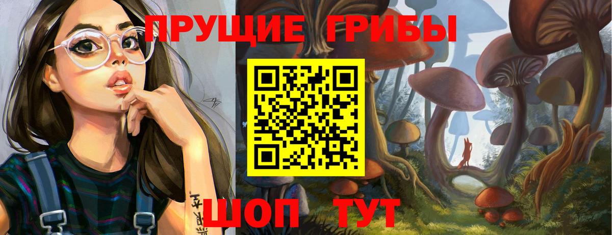 Псилоцибиновые грибы мухоморы Кисловодск